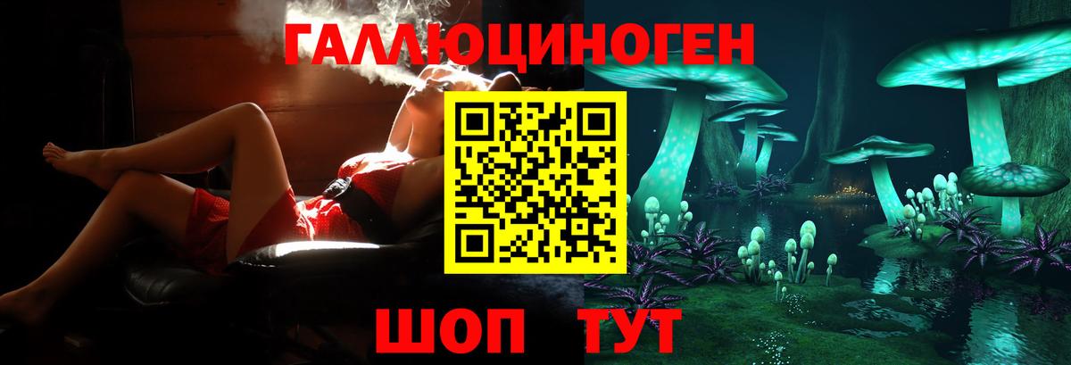 Галлюциногенные грибы мицелий  Псилоцибиновые грибы ЛСД  Вход с VPN  Кулебаки 