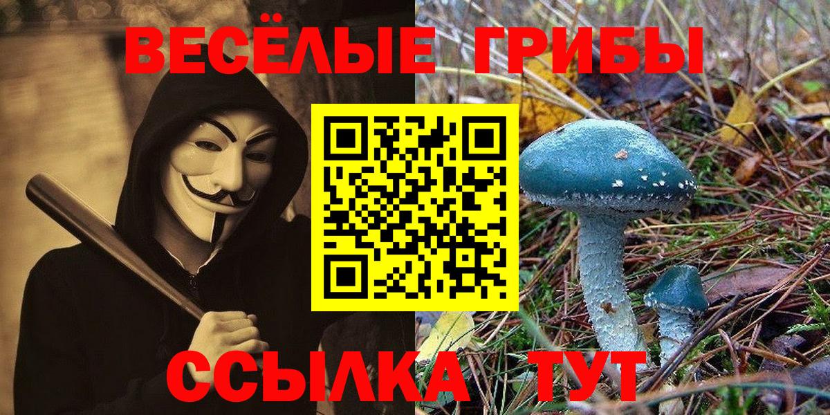 Псилоцибиновые грибы мухоморы Кулебаки